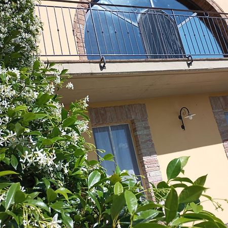 Sunset Hill - Tuscany - Villa & Private Pool Кастелфиорентино Екстериор снимка