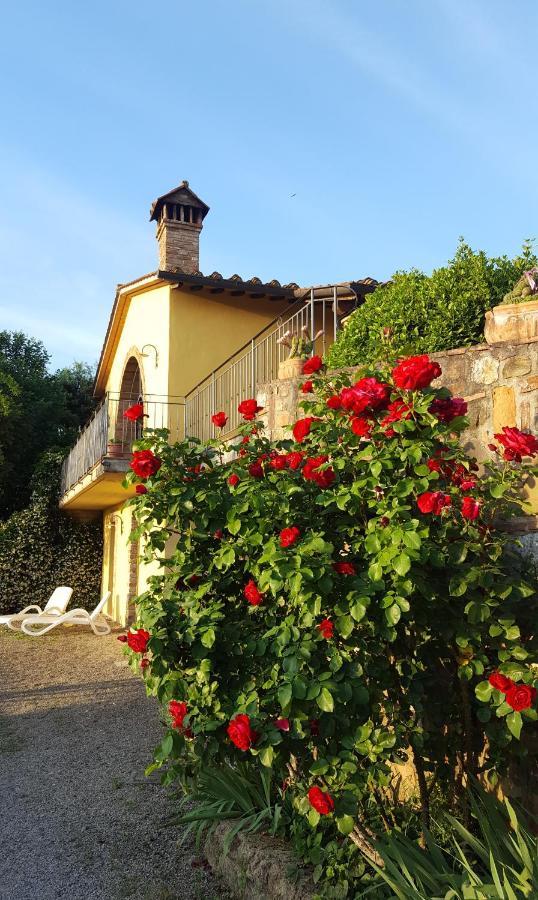 Sunset Hill - Tuscany - Villa & Private Pool Кастелфиорентино Екстериор снимка
