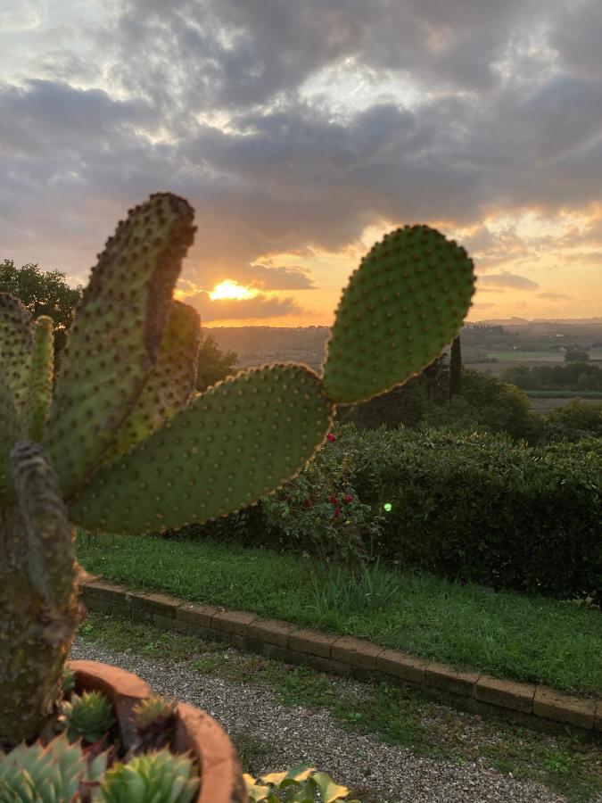 Sunset Hill - Tuscany - Villa & Private Pool Кастелфиорентино Екстериор снимка