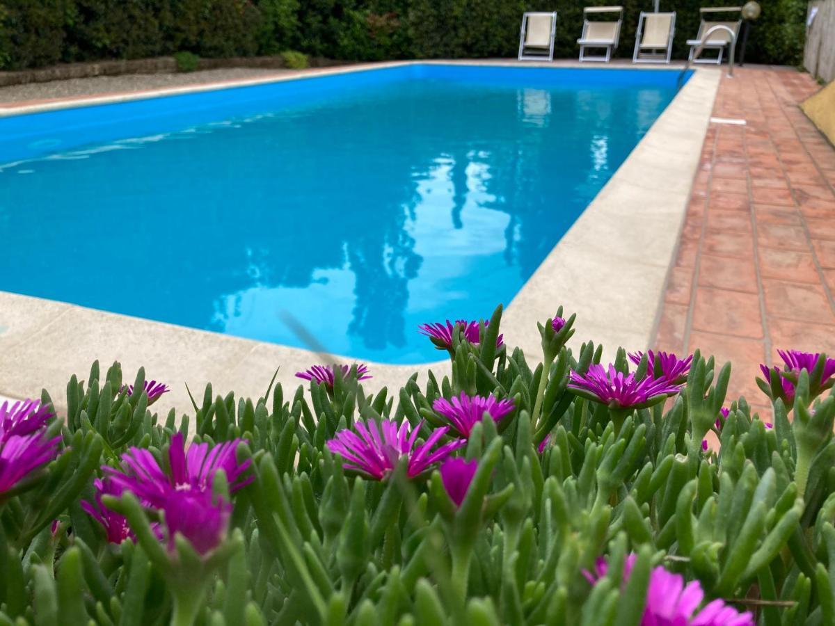 Sunset Hill - Tuscany - Villa & Private Pool Кастелфиорентино Екстериор снимка